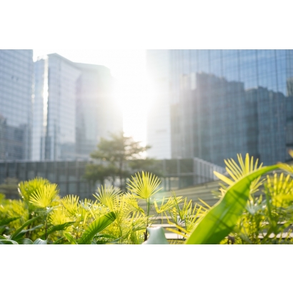 S指標の財務的価値──2026年サステナビリティ開示の新たな焦点：従業員の賃金構造とDEIデータは企業の信用力にどう影響するのか