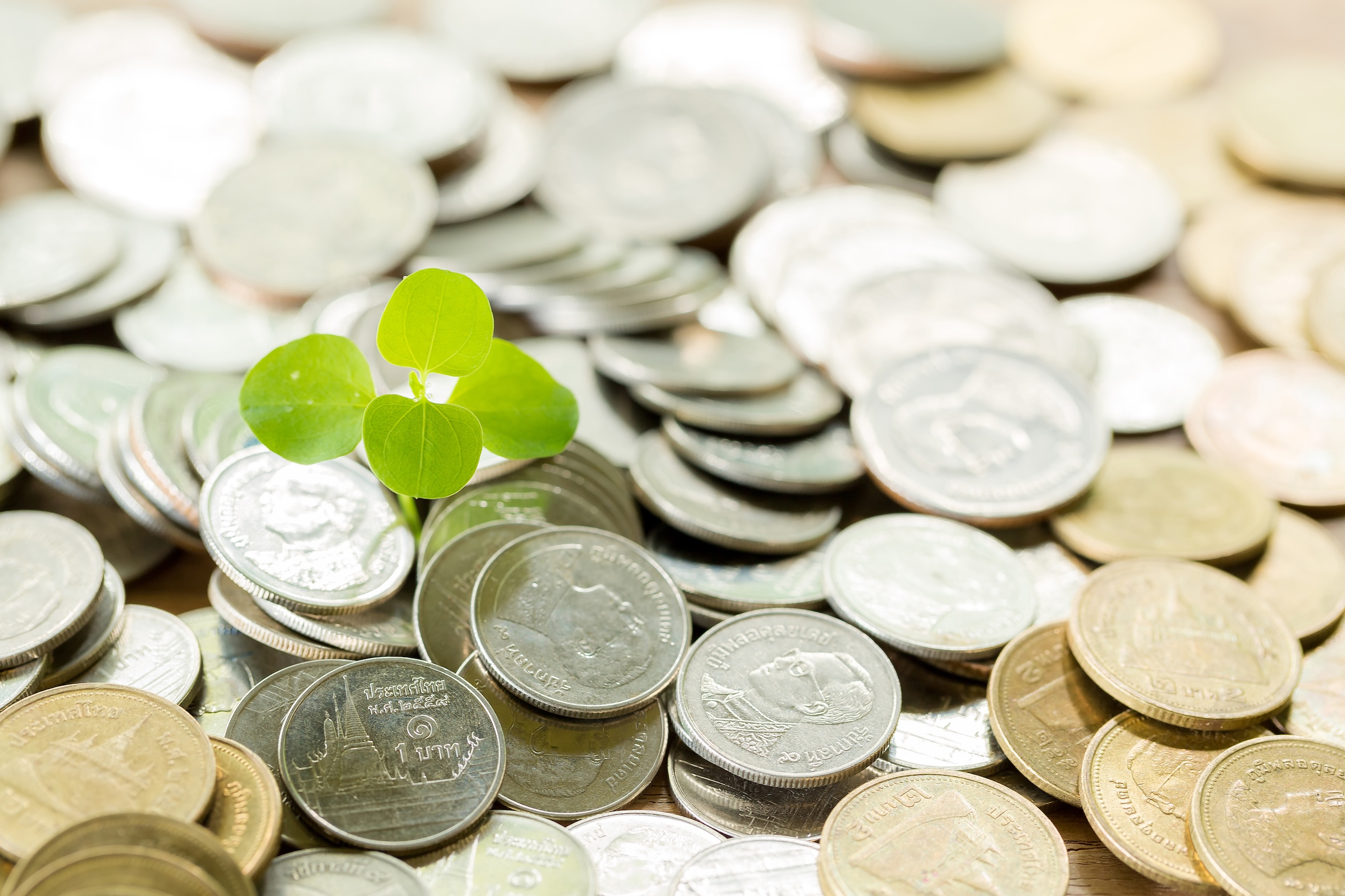 炭素課金と炭素税