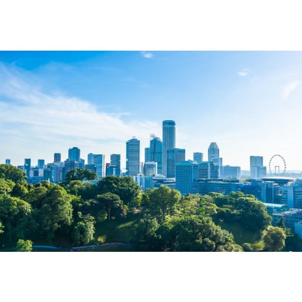 【アースデイ特集】環境保護を超え、子どもたちへのラブレターを：2026年 企業GXが切り拓く「感性のビジネスチャンス」